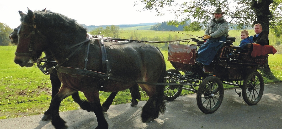 Pferdekutschfahrt bei Frauenwald